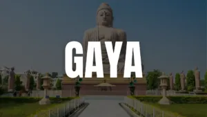 gaya